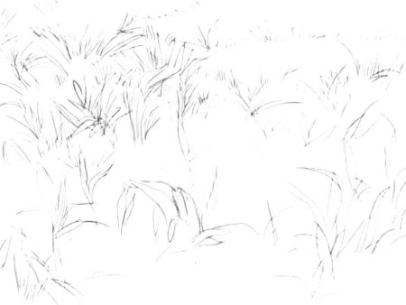 Травка раскраска для детей