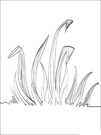 Трава раскраска