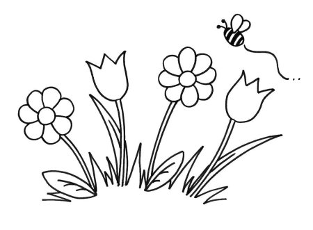 Куст раскраска для детей