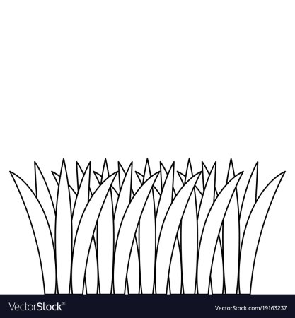 Раскраска пучек травы для детей