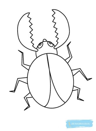 Жук раскраска