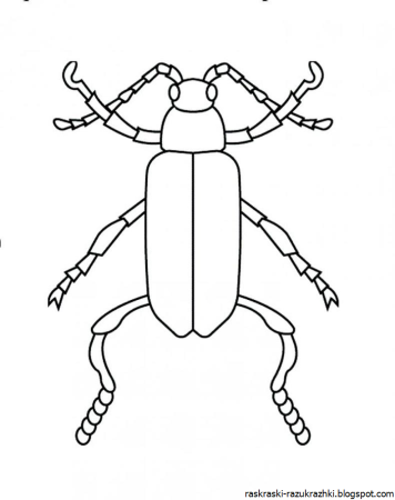 Жук дровосек Титан раскраска