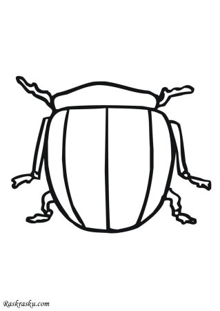 Колорадский Жук для раскрашивания для детей