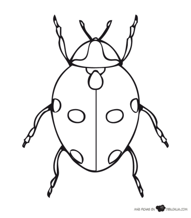 Раскраска Жук Божья коровка