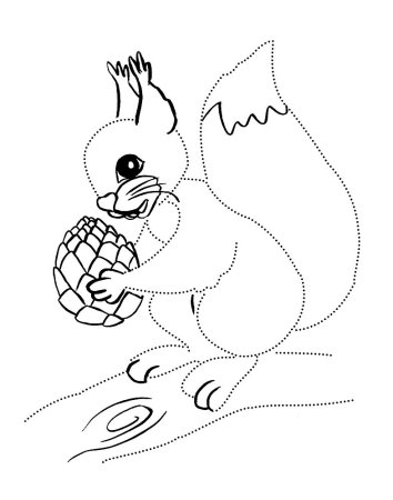 Белка с шишкой раскраска