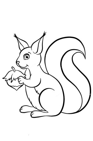 Белка раскраска для детей