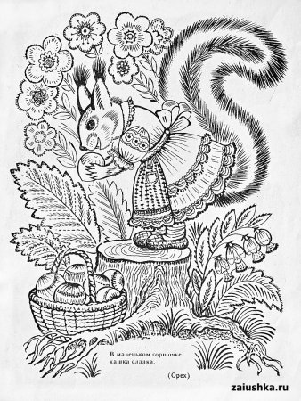 Белка с орешками раскраска