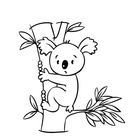 Коала. Раскраска