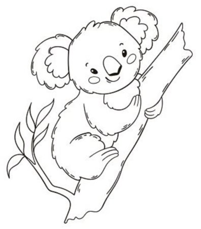 Коала раскраска для детей