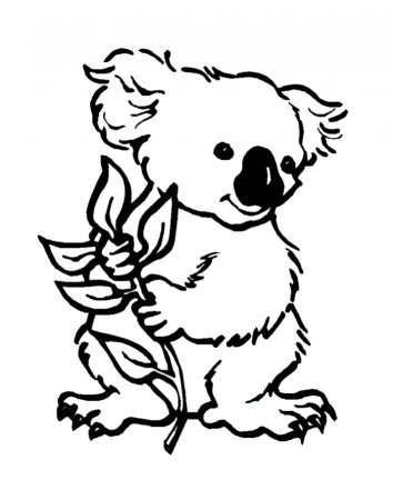 Коала раскраска для детей