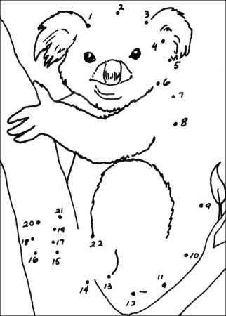 Коала. Раскраска