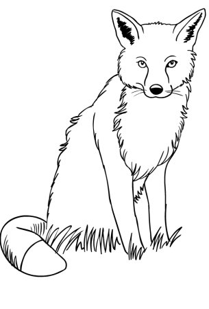 Раскраска лисы для детей