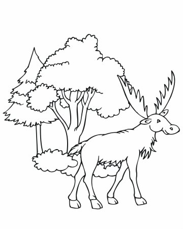Лось раскраска
