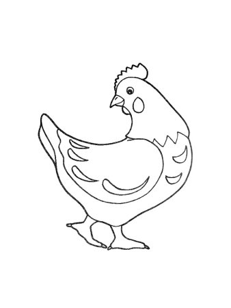 Курица раскраска для детей