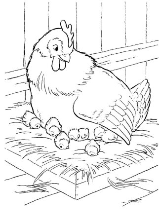 Курочка Ряба сказка раскраска для детей