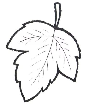 Листья раскраска