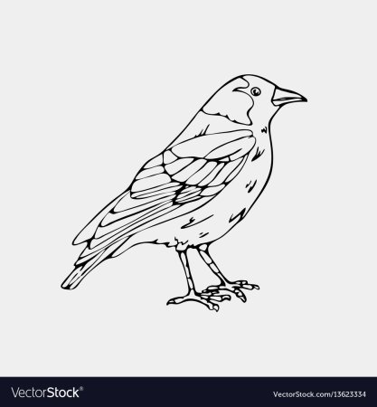 Ворона раскраска для детей