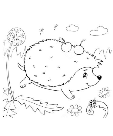 Раскраска Ёжик