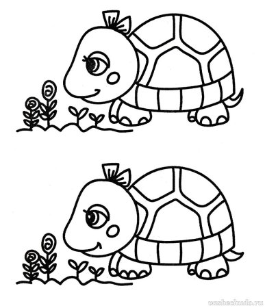 Черепашки задания для детей