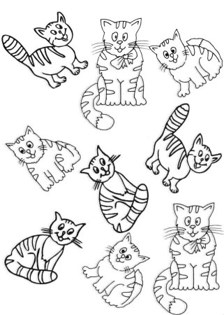 Задание с котиками