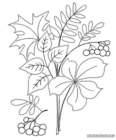 Осенние раскраски для детей 3-4 лет