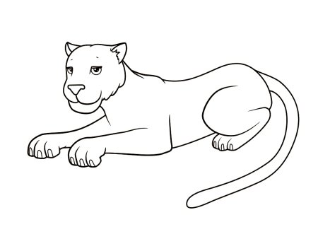 Пантера раскраска для детей