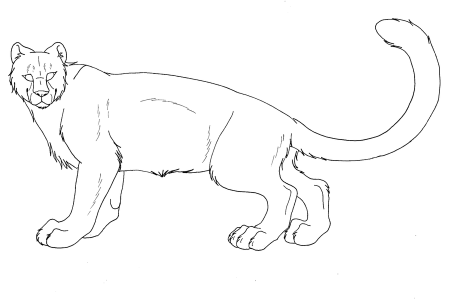 Раскраска Дикие кошки