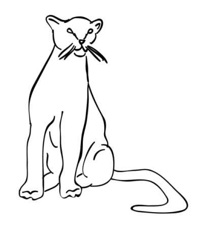 Раскраска пантера