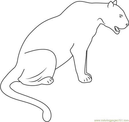 Тигр. Раскраска