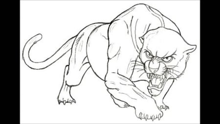 Раскраска леопард