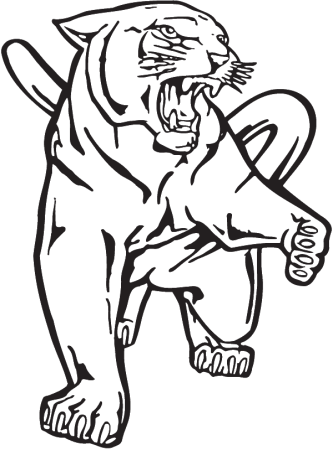 Раскраска Дикие кошки