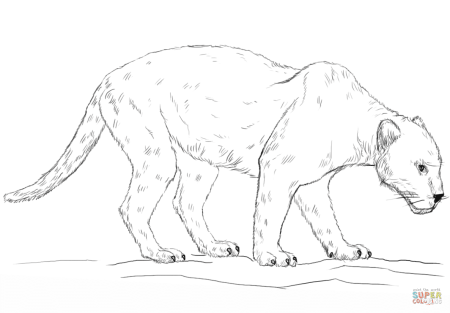 Раскраска Король Лев Сараби