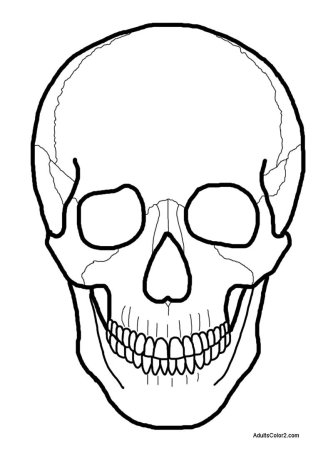 Раскраска череп