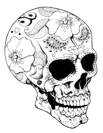 Череп эскиз