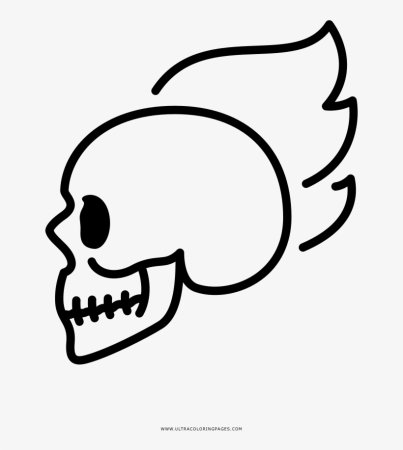 Раскраска череп
