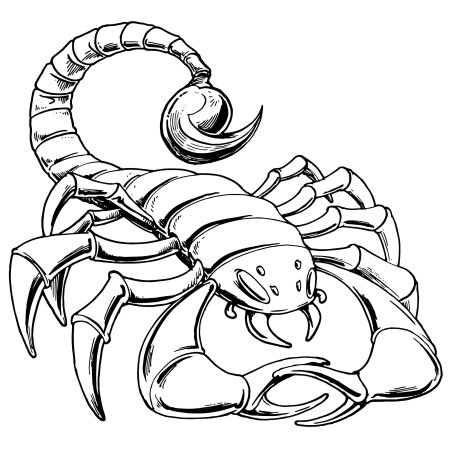 Скорпион раскраска