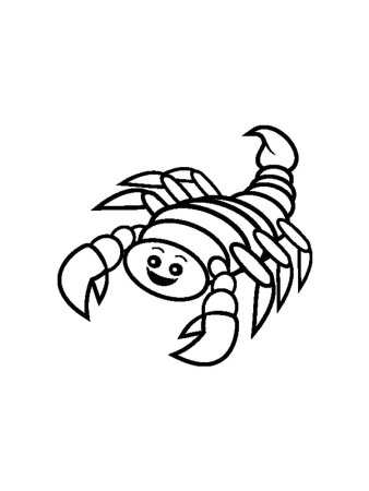 Scorpion вид сбоку