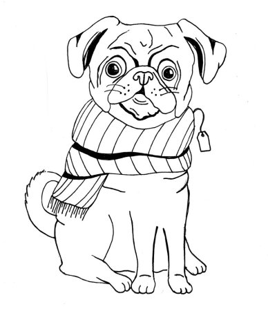 Бинго и Ролли дружные мопсы