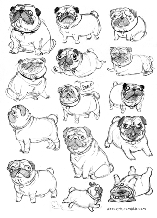 Раскраска Мопс