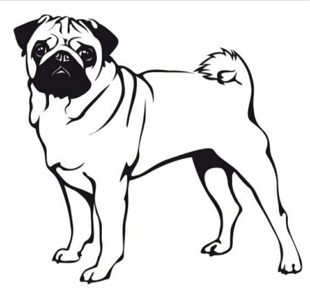 Щенок. Раскраска