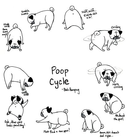 Собака рисунок карандашом