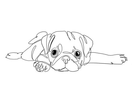 Раскраска Мопс