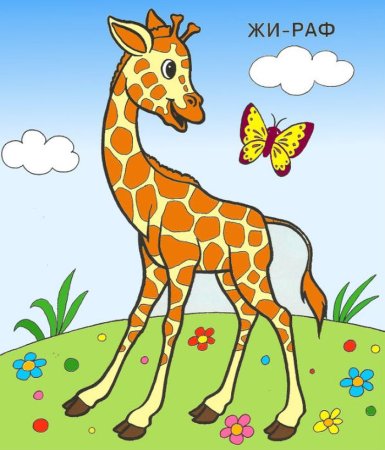 Жираф. Раскраска