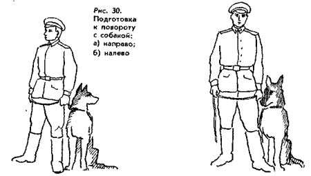Повороты на месте с собакой