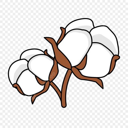 Хлопок раскраска для детей