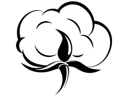 Хлопок вектор