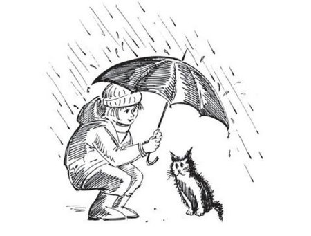 Зарисовки на тему доброта