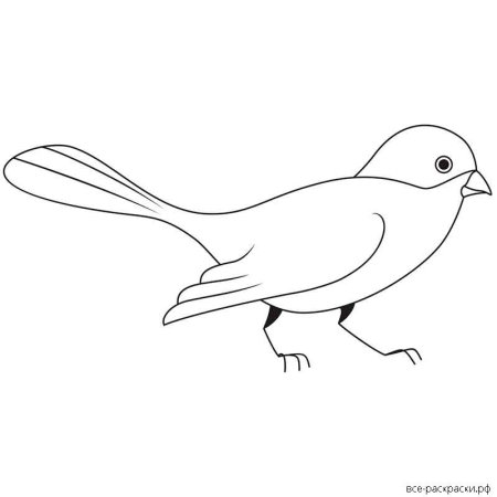 Рисунок сороки для раскрашивания