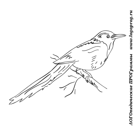 Ледоломка птица раскраска