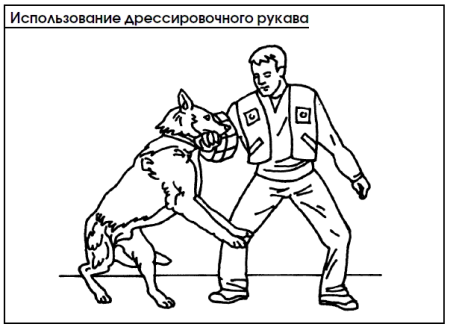 Кинолог рисунок